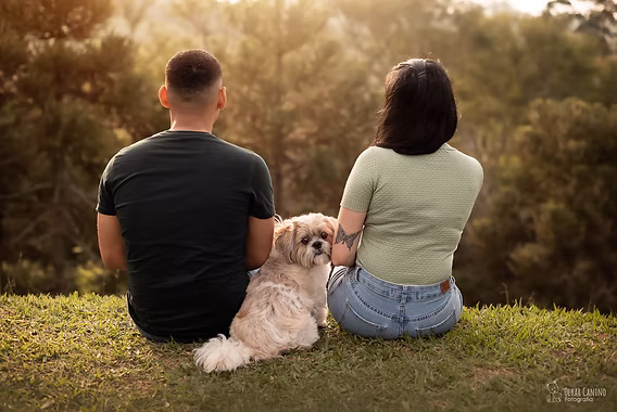 guarda compartilhada de animal